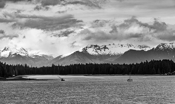 Spring Stranding - Alaska