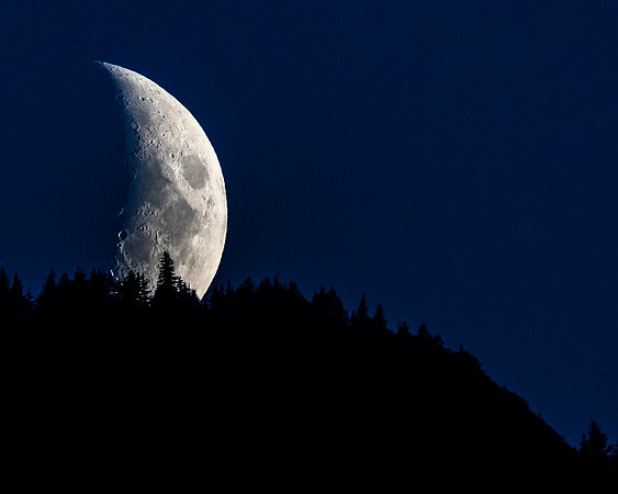 Spruce Moon - Alaska